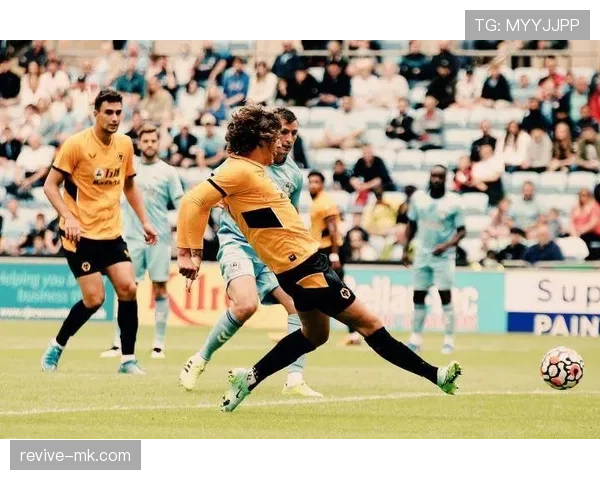 远射进球+禁区外得分占比：内维斯的数据特点