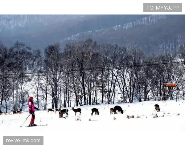 苏翊鸣家里滑雪场当后院？